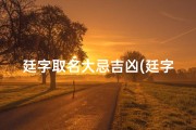 廷字取名大忌吉凶(廷字取名忌讳)