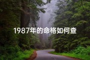 1987年的命格如何查—《1987年命格详解：如何精准查询》