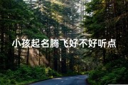 小孩起名腾飞好不好听点(名字叫飞腾好吗)