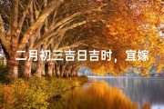 二月初三吉日吉时，宜嫁娶纳财，好运连连