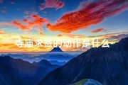 寺庙求签的动作是什么-《寺庙求签瞬间：动作捕捉》