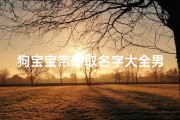 狗宝宝带琦取名字大全男—《狗宝宝带琦取名字大全：男宝取名新风向》