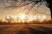 属牛的人能压住龙吗;属牛可以吗