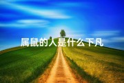 属鼠的人是什么下凡