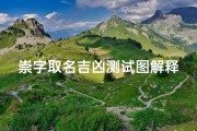崇字取名吉凶测试图解释,《崇字取名吉凶测试图解：揭秘名字背后的运势奥秘》