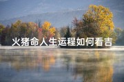 火猪命人生运程如何看吉凶;火猪命人生运程吉凶揭秘