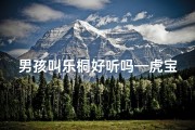 男孩叫乐桐好听吗—虎宝宝起名乐彤：寓意吉祥的好听男孩名字