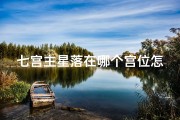 七宫主星落在哪个宫位怎么看(《七宫庙旺吉凶辨析：精准解读风水奥秘》)