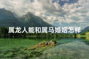 属龙人能和属马婚姻怎样_属龙与属马：婚姻相配的奇妙组合