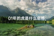 01年的虎是什么命格;2001年出生的虎宝宝：揭秘本命年命格之谜
