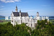 属龙和属虎的合不合财气;属龙属虎财不合，财运如何破解？