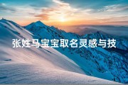 张姓马宝宝取名灵感与技巧，传统文化与生肖寓意相结合
