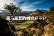 属马属龙的婚姻好不好、属马属龙喜结良缘，猪年共度甜蜜时光