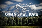 《易经五行解密：仇字吉凶揭秘图鉴》