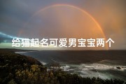 给猫起名可爱男宝宝两个字(男猫咪的名字要萌点的)