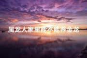 属龙人家里能不能养金龙鱼