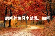 房间养鱼风水禁忌：如何布局才能旺运？