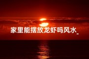 家里能摆放龙虾吗风水_家里可以摆龙吗