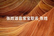 张姓谐音宝宝取名_张姓谐音好听又有深意的名字