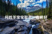 何姓羊宝宝取名，吉祥好名与生肖喜忌全解析