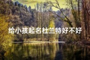 给小孩起名杜兰特好不好-杜兰特：宝宝名字新选择，寓意篮球巨星风采