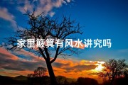 家里簸箕有风水讲究吗