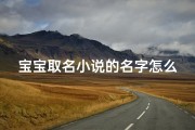 宝宝取名小说的名字怎么取