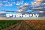 姓尹男孩兔宝宝取名字