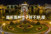 屋后面种竹子好不好;屋后种竹子风水如何？吉凶分析