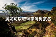 属龙可以取琳字吗男孩名(属龙男孩取琳字，寓意美好，名字大揭秘)