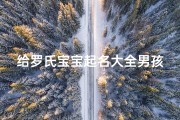 给罗氏宝宝起名大全男孩(罗氏男宝宝好名字,顺口有气场的男孩起名推荐)