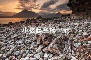 小孩起名杨一范
