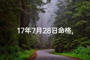 17年7月28日命格,17年7月28日命格：揭秘独特命运密码
