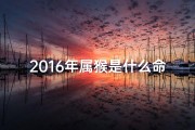 2016年属猴是什么命格、2016猴年命格揭秘：生肖猴运势大解析
