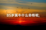 85岁属牛什么命格呢;85岁属牛吗