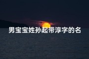 男宝宝姓孙起带淳字的名字,孙字取名字男孩名字