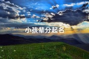 小孩辈分起名