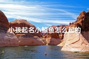 小孩起名小鲸鱼怎么起的—《小鲸鱼名字由来：亲子创意命名之旅》