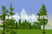 家里能生马蜂吗风水好吗-家里有马蜂是吉利还是凶