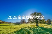 2025宝宝取名字大全，新生儿命名指南与寓意解析