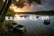 属龙与属虎：天生一对的和谐搭配