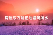 房屋东方能挖池塘吗风水;东方挖塘风水禁忌：家居布局宜忌解析