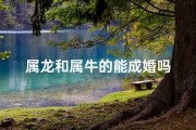 属龙和属牛的能成婚吗