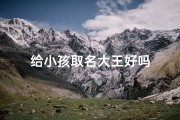 给小孩取名大王好吗