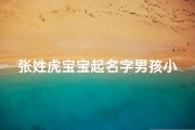 张姓虎宝宝起名字男孩小名-《张姓虎宝宝男孩，独具特色的温馨小名揭晓》