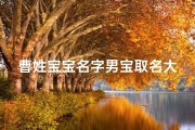 曹姓宝宝名字男宝取名大全