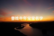 曹姓牛年宝宝名字