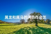 属龙和属马的人合作会怎么样_龙马情深，友谊同行：属龙属马共谱新篇