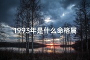1993年是什么命格属性呢;1993年命格属性揭秘：运势解析大揭秘