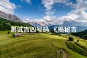 测试吉凶号码_《揭秘吉凶号码：精准测试，运势大揭秘》